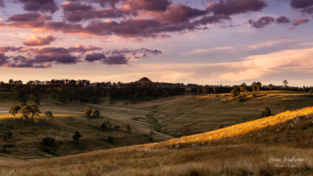 Sheep grazing in the foreground and the last of rays of golden winter sun. Chandlers Peak, New England, northern NSW.