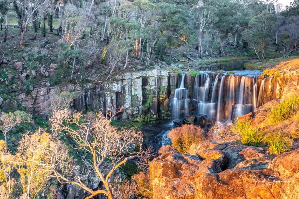 A rare moment where the Ebor Falls are captured in brilliant golden light, Ebor NSW